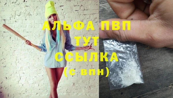 бошки Бородино